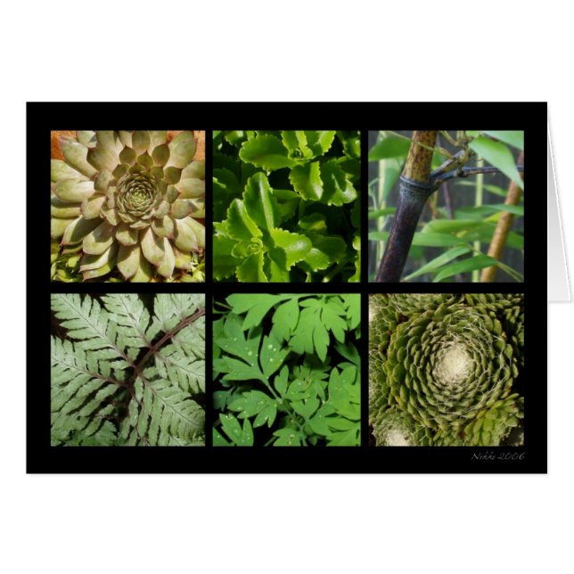 Green Foliage Card (Front Horizontal)