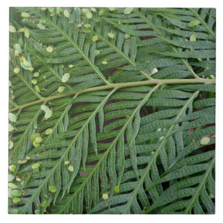 Green Foliage Tile