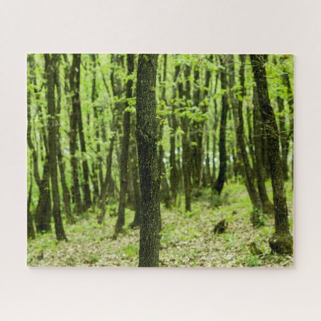 Green Forest Jigsaw Puzzle (Horizontal)
