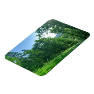 Green Forest Landscape Photography   Magnet