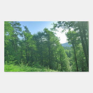 Green Forest Landscape Photography  Rectangular Sticker