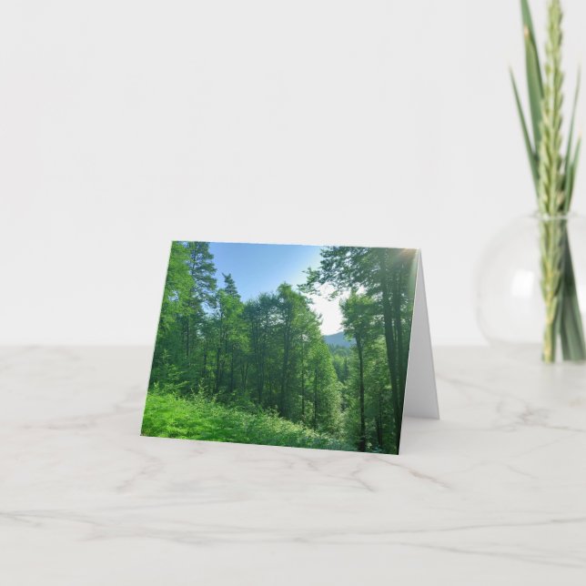 Green Forest Landscape Photography  Thank You Card (Front)