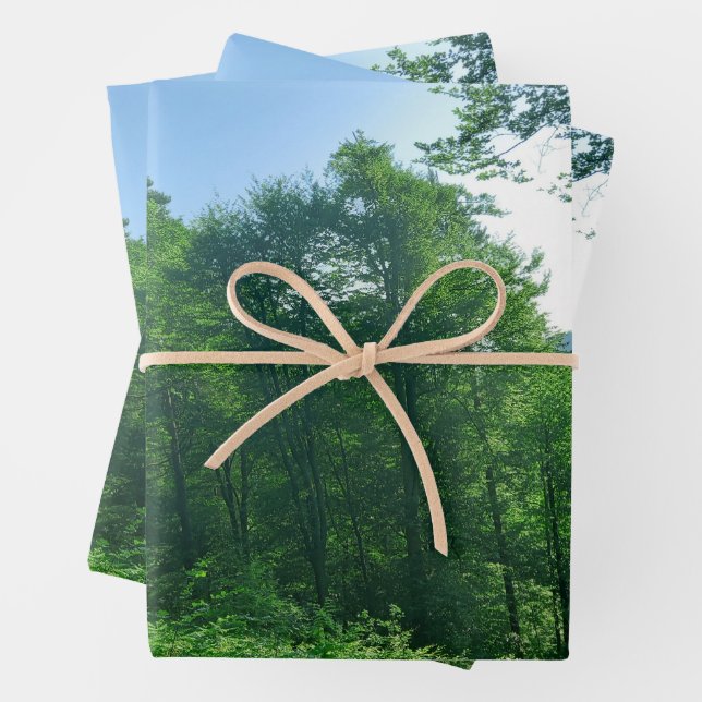 Green Forest Landscape Photography   Wrapping Paper Sheet (In situ)