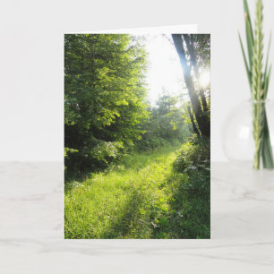 Green Forest Meadow  Card
