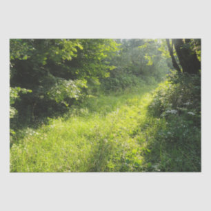 Green Forest Meadow  Tissue Paper
