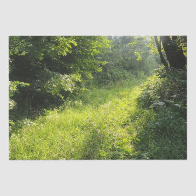 Green Forest Meadow  Tissue Paper (Front)