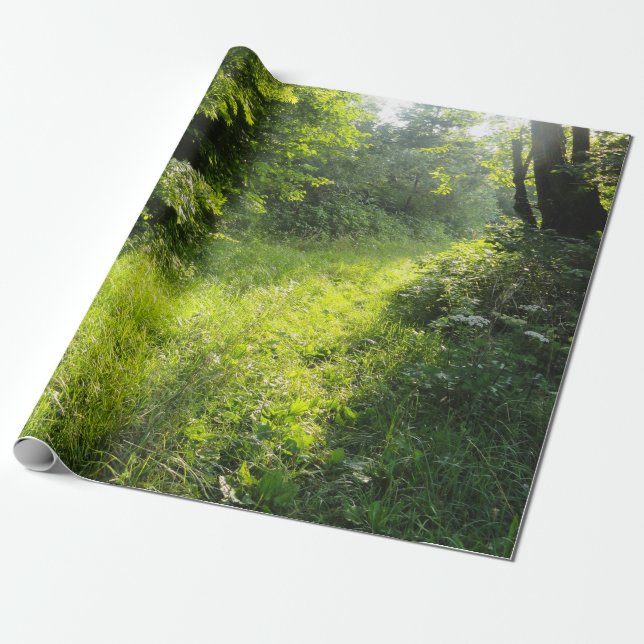 Green Forest Meadow Wrapping Paper (Unrolled)