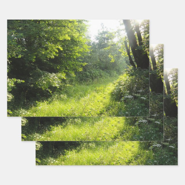 Green Forest Meadow Wrapping Paper Sheet (Set)
