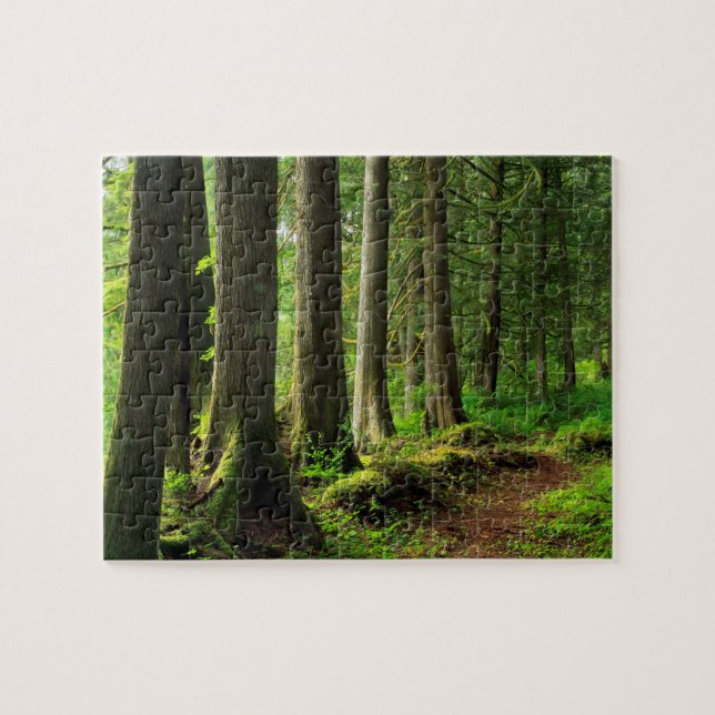 Green Forest Trail Scenic Jigsaw Puzzle (Horizontal)