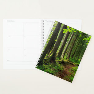 Green Forest Trail Scenic Planner