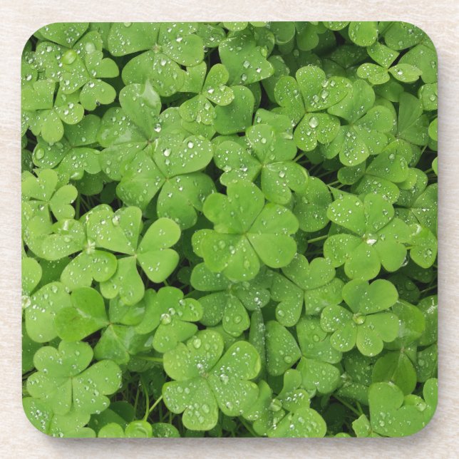 Green fresh shamrock, lucky St. Patricks pillow Coaster (Front)