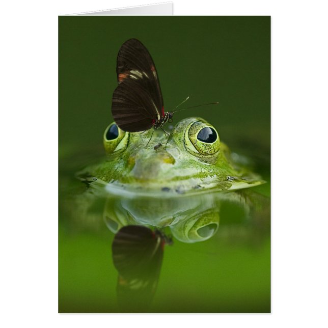 Green Frog and Butterfly (Front)