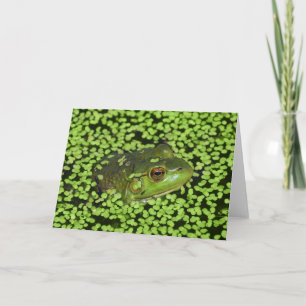 Green Frog Card