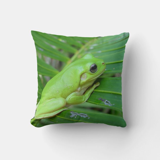 Green Frog Cushion (Front)