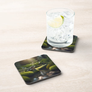 Green Frog Forest Life, Coaster