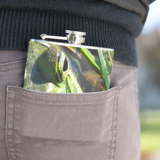 Green Frog Hip Flask (In Situ)