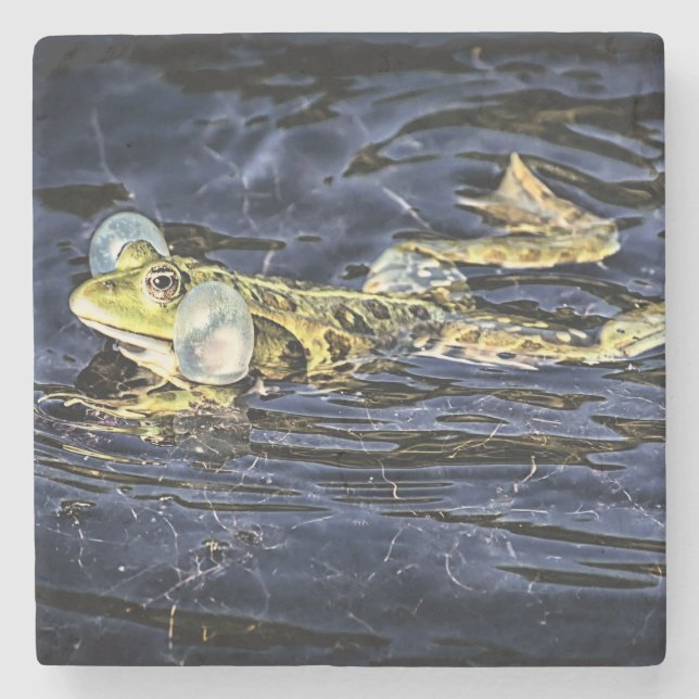 Green Frog in the Pond Stone Coaster (Front)
