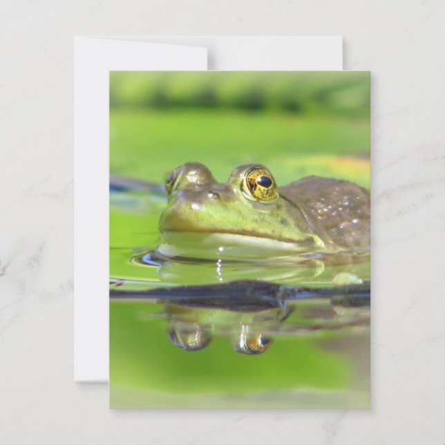 Green Frog Invitation (Front)