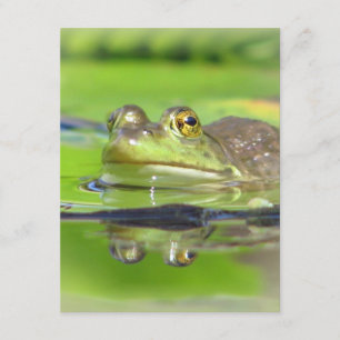 Green Frog Invitation