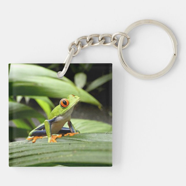 Green frog key ring (Back)