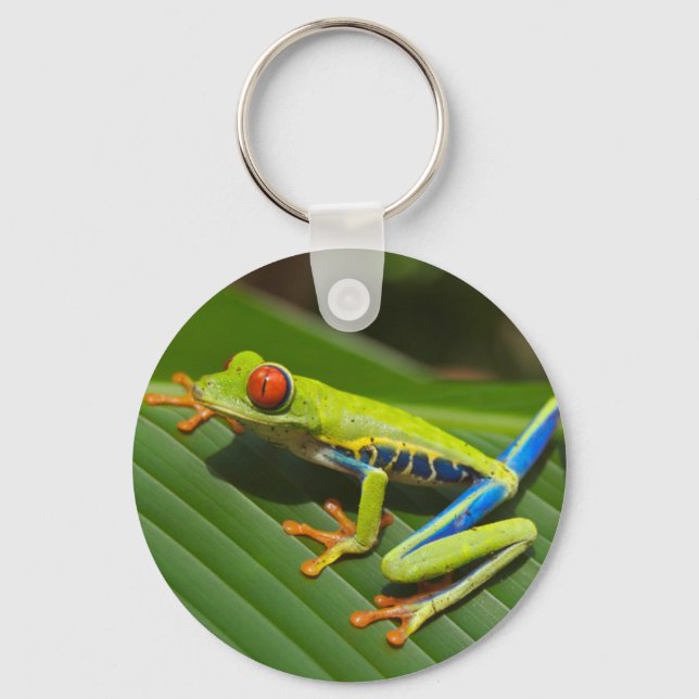Green Frog Key Ring (Front)