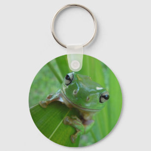 green frog keychain
