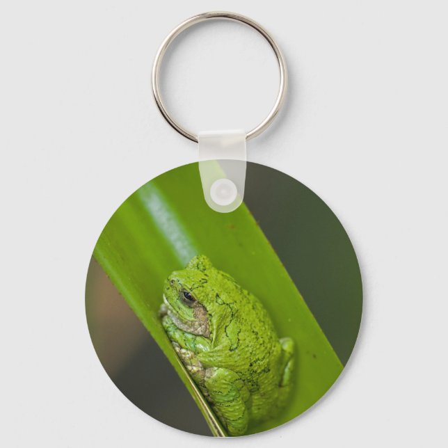 Green Frog Macro Key Ring (Front)