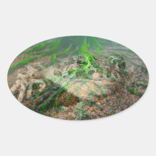 Green Frog Mossy Frog Oval Sticker