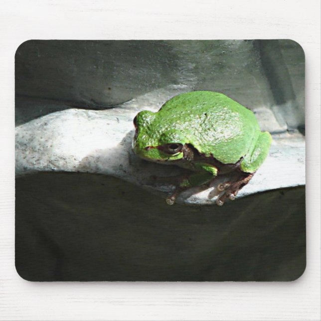 Green Frog Mouse Mat (Front)