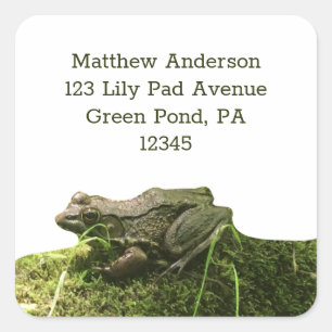 Green Frog on a Mossy Rock Return Address Labels