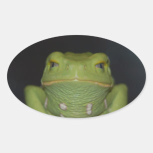 Green Frog Oval Sticker