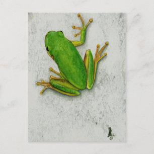 Green Frog Postcard