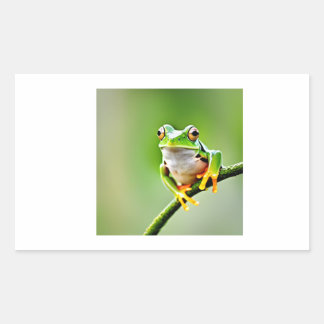 green frog rectangular sticker