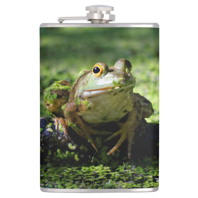 Green Frog Strikes a Pose on the Hose Hip Flask (Front)