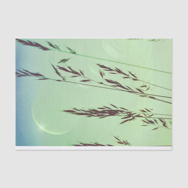 Green fronds leaves moonlight night sky tissue paper (Front)