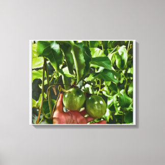 Green Fruit Canvas Print