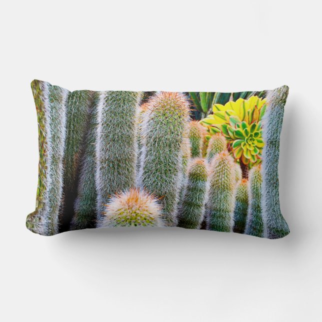 Green fuzzy cacti succulent photo bold modern chic lumbar cushion (Front)
