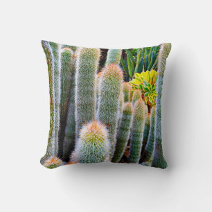 Green fuzzy cacti succulent photo simple modern cushion