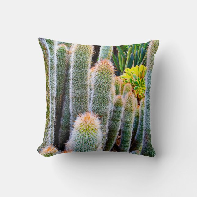Green fuzzy cacti succulent photo simple modern cushion (Front)