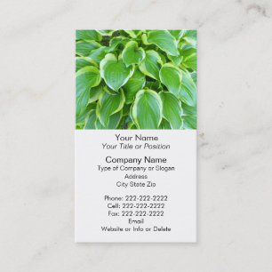 Green Garden Hosta Plant Botanical Custom Business Card