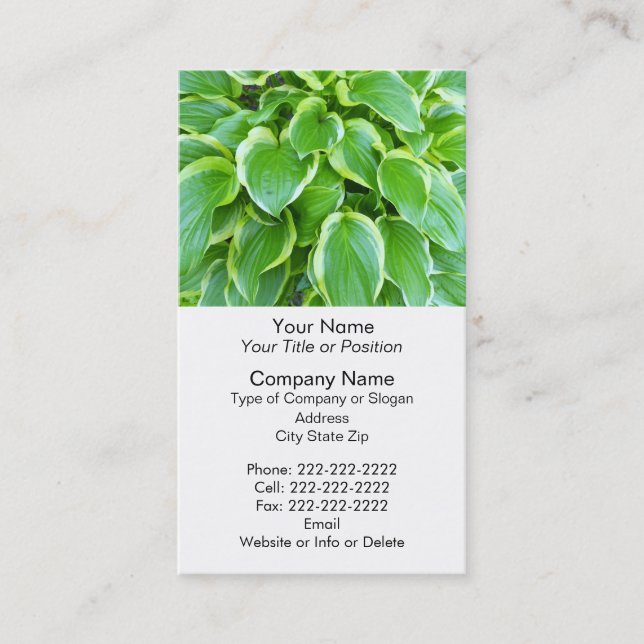 Green Garden Hosta Plant Botanical Custom Business Card (Front)