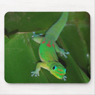 Green Gecko in Hawaii Mouse Mat