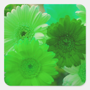Green Gerbera Daisy Flowers Art Sticker Decals