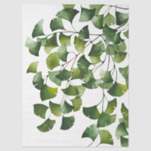 Green Ginkgo Biloba -