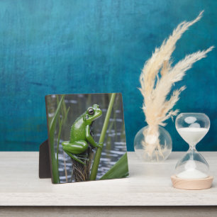 Green Glass Frog On Reeds At The River, Plaque