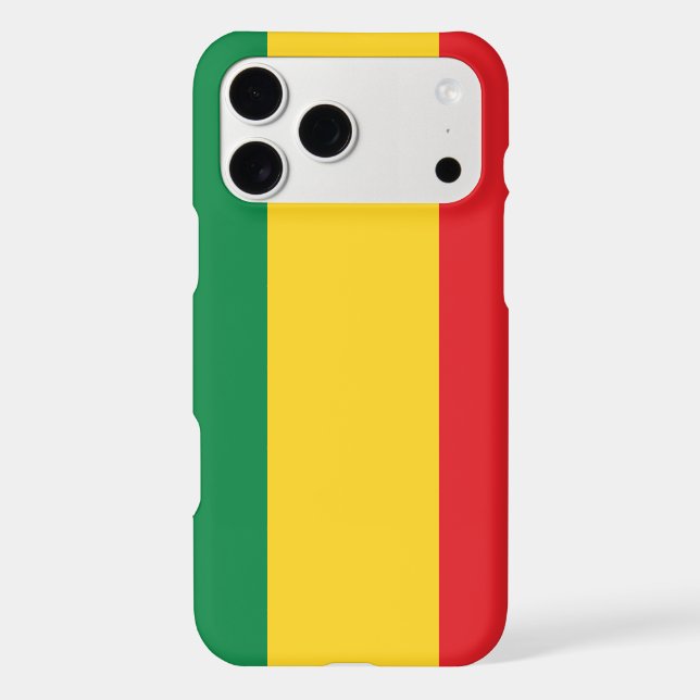 Green, Gold (Yellow) and Red Colours Flag (Back)