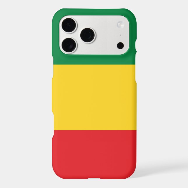 Green, Gold (Yellow) and Red Colours Flag (Back)