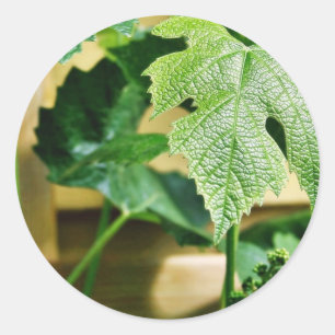 Green Grape Leaf Classic Round Sticker