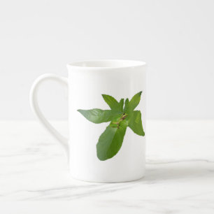 Green Grape Leaf Frog, Bone China Mug