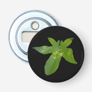 Green Grape Leaf Frog, Bottle Opener